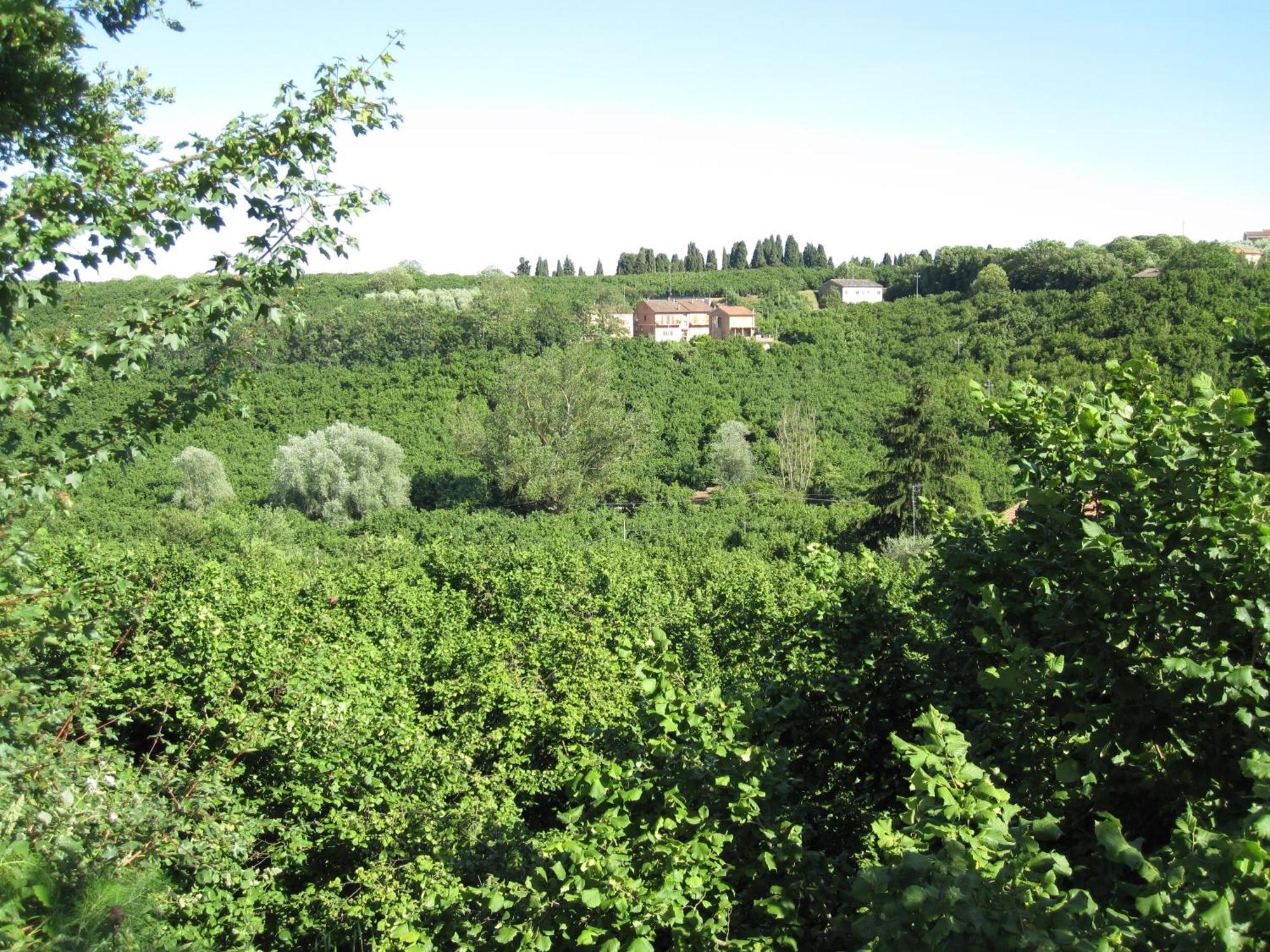 Country House Dolce Nocciola Vignanello Exteriör bild